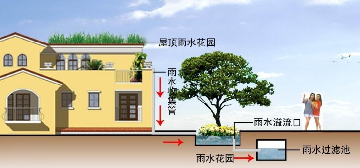 雨水收集系統(tǒng)的幾種類型知道嗎？由哪些結(jié)構(gòu)組成？